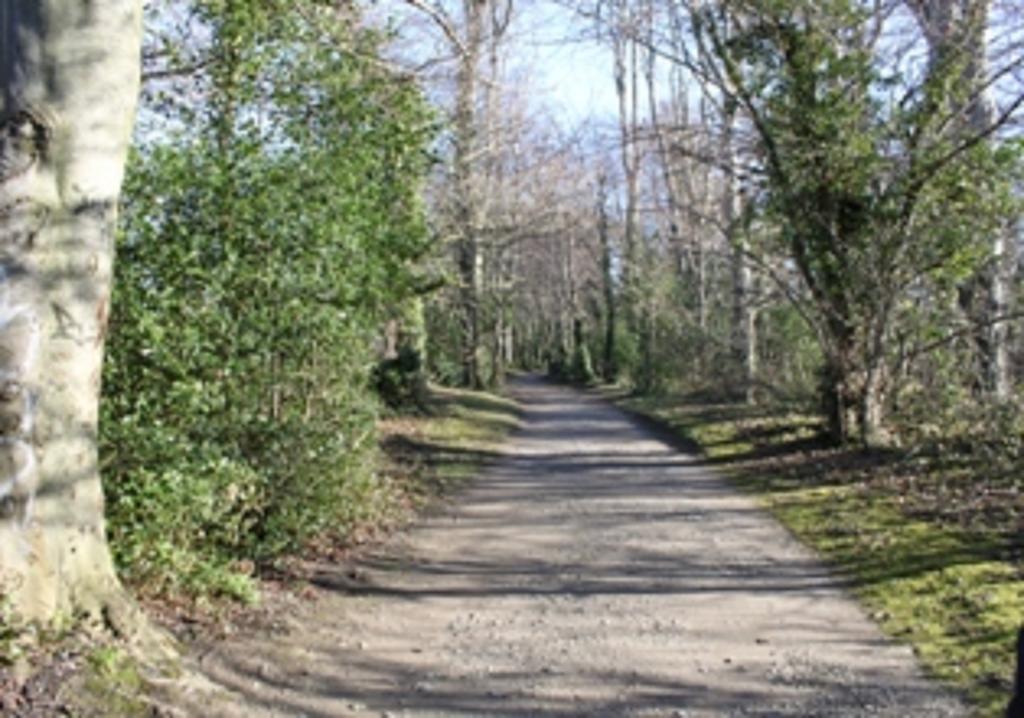 San Juan B&B Cloghran Kültér fotó